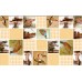 Birds 140