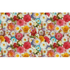 Coloratissimo 140