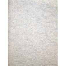 56254