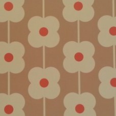 Giant Abacus Flower