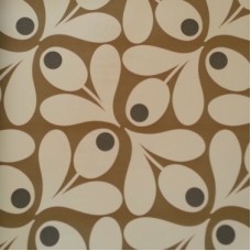 Acorn Spot