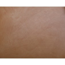 Texline 